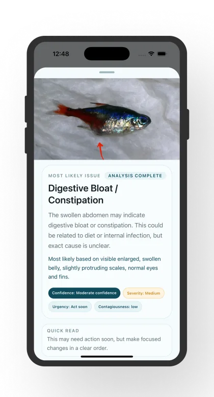 Fish Disease Identifier likely match screen